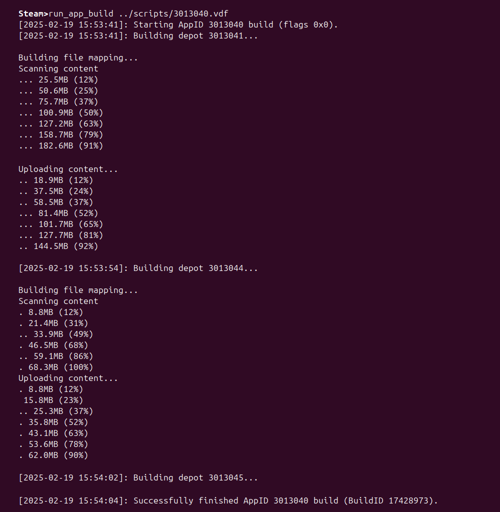 SteamCMD Output